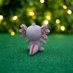Cute Axolotl Crochet Pattern – Amigurumi Doll